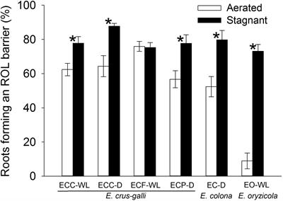 Prevention of Radial Oxygen Loss Is Associated With Exodermal Suberin Along Adventitious Roots of Annual Wild Species of Echinochloa